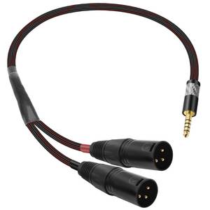 lot 14014 image: XMSJSIY 4.4mm to Dual XLR 3 Pin Balance Male Headphone Audio Splitter Adapter Cable HiFi for PHA2A WMLA ZX300A DAC AMP - 0.5M1.6FT (4.4mm to 2XLR Male)