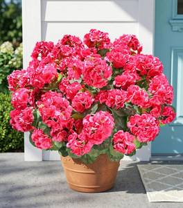 lot 14431 image: Fake Geraniums Artificial Flowers for Outdoors Outside, 6 Bundles Silk Geraniums Fake Flowers Plants Realistic UV Resistant Faux Flowers for Outdoor Planters Garden Balcony Yard Porch Indoor, Hot Pink