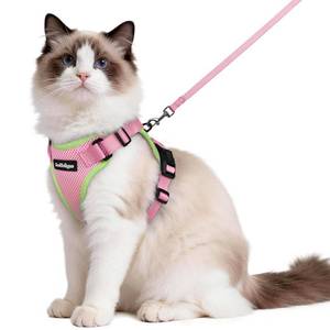 lot 14466 image: rabbitgoo Cat Harness and Leash Set, Escape Proof Vest, Pink & Light Green