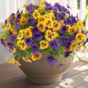 lot 19519 image: Rowfad 36 Pcs Artificial Fake Pansy Flowers for Outdoor, Faux UV Resistant Silk Pansies Flowers for Outside Planter Front Door Porch Yard Patio Window Box Home Decor (36, Yellow,Purple)
