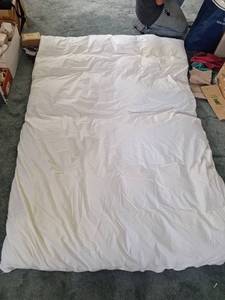 lot 5000 image: Feather Bed Topper - Full Size