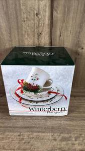 lot 308 image: New Pfaltzgraff Winterberry Stoneware Dinnerware Set 16 Pieces