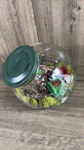lot 513 image: Miniature Garden Terrarium in Glass Jar with Green Metal Lid
