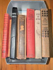 lot 1088 image: Lot of 6 Hardcover Books The Black Stallion Returns, Horse Haven, Son of the Wolf, Two Years Before the Mast, Spurs for Antonia, Golden Stallions Revenge