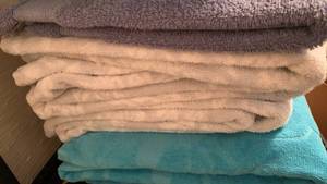 lot 1601 image: Bath towels and hand towels