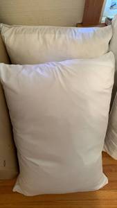 lot 1629 image: Bed pillows
