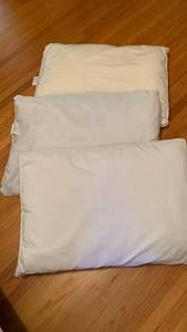lot 1631 image: Bed pillows