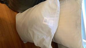 lot 1632 image: Bed pillows