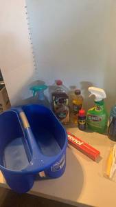 lot 2125 image: Cleaning products and tote