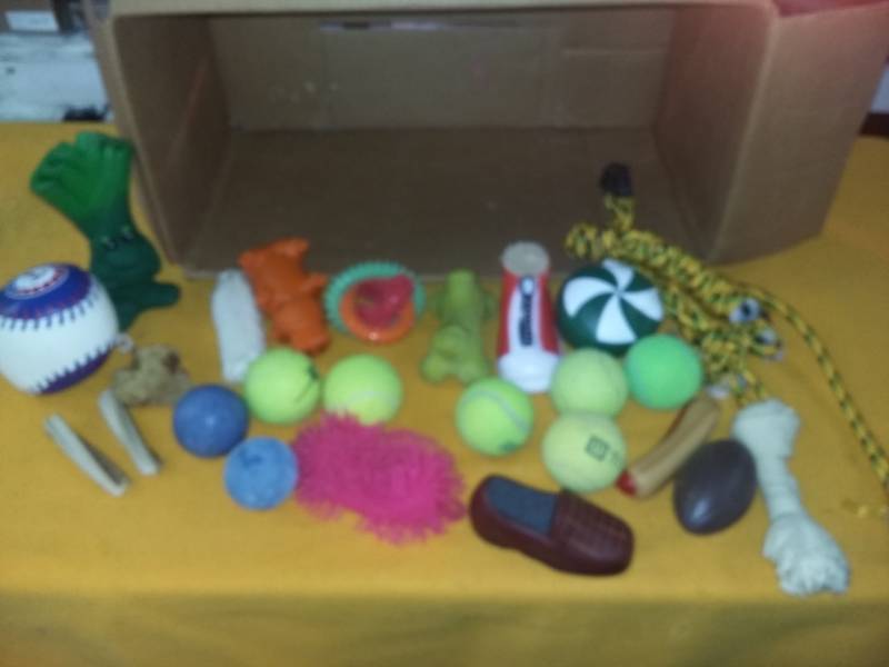 lot 6158 image: Stocking Stuff for Dog Lot