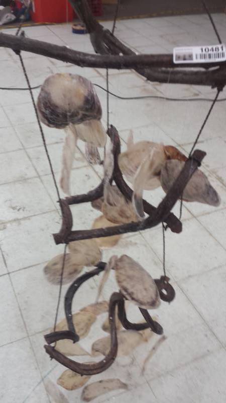 lot 10481 image: Seashells Wind chimes Group