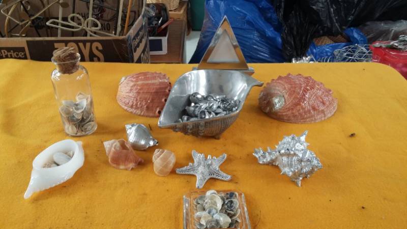 lot 10449 image: SeaShells Collection