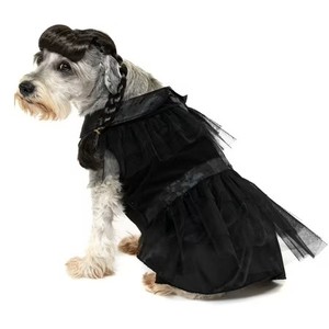 lot 8034 image: Vibrant Life Halloween Gothic Girl Costume for Dogs, Black, Medium