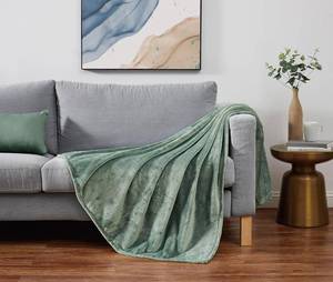 lot 8100 image: CANNON Solid Plush Green Polyester 1-Piece 50x60 Throw Blanket, Solid, 100% Polyester, for Men and Women, Oeko-TEX Certified Confidence
