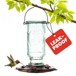 lot 307 image: SMALL PIECE BROKEN ON TOP SEE PHOTOS More Birds Vintage Hummingbird Feeder, Antique Glass Bottle, 5 Feeding Ports, 20-Ounce Nectar Capacity - Retail $25