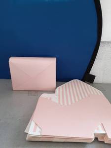 lot 476 image: 10 Pieces Foldable Pink Boxes - Retail $0