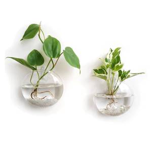 lot 872 image: Mkono Wall Hanging Glass Terrariums Planter Oblate Flower Vase for Hydroponics Plants, Bathroom, Home Office Living Room Decor, Set of 2��Plants not Included�� - Retail $14
