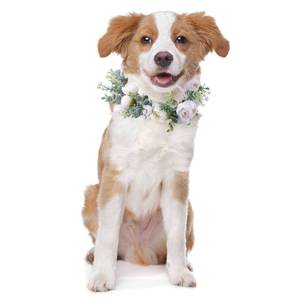 lot 875 image: Honoson Dog Wedding Flower Collar Adjustable Artificial White Rose Floral Attire Wreath with Ribbon Photo Prop Accessories for Female Male Dog Engagement Bridal Shower(Medium) - Retail $14