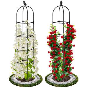 lot 902 image: 2 Pack Garden Obelisk Trellis for Climbing Plants, 71 Rustproof Metal Tower Plant Support Cages, Rose Trellis for Tomato Potted Flowers Vegetables Vines, Indoor Outdoor Garden Patio - Retail $28