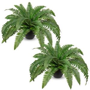 lot 998 image: Hollyone 2Pcs Artificial Ferns in Pot for Outdoors Indoor 20inch Fake Ferns 35 Leaves Faux Boston Ferns Potted Plant Fern Bush Plant for Patio Garden Farmhouse Windowsill Office Living Room Home Decor
