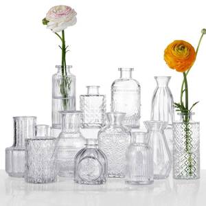 lot 999 image: Glass Bud Vases Set of 12, Clear - Retail $19