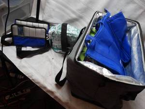 lot 26241 image: Lot of Insulated bags for food, or other insulated items.