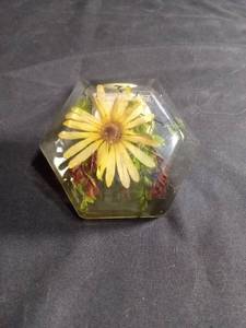 lot 60347 image: Hexagonal Resin nightlight with Pressed Yellow Daisy Flowers