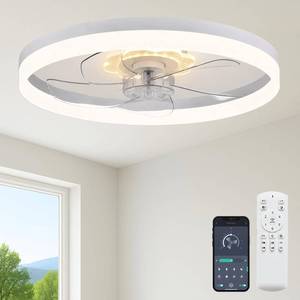 lot 111716 image: Retails for $150 FSZDORJ 24 Ceiling Fan with Light and Remote, Low Profile Ceiling Fan with Light, Dimmable Flush Mount Ceiling Fan Light, 6 Speeds Fan, App&Remote Control, Fandelier Quiet Fan for Bedroom F115 Black