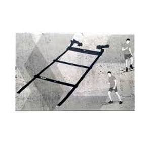 lot 63194 image: Series 8 Fitness Speed Ladder Heavy Duty for High-Intensity Cross Training NEW