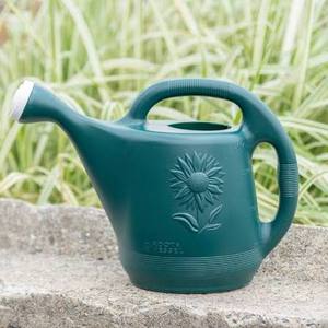 lot 63203 image: Novelty Manufacturing 2 Gallon watering Can