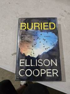 lot 6541 image: Buried by Ellison Cooper