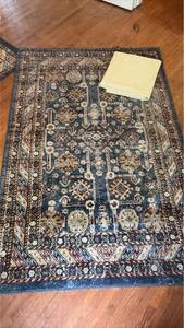 lot 238 image: Area Rug with No Slip Under Rug Pad