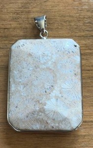 lot 318 image: Fossil Coral Pendant