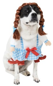 lot 10405 image: GINGHAM GIRL PET COSTUME SIZE M