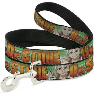 lot 10486 image: Crunchyroll Pet Leash, Dog Leash, Dr Stone Title Logo and Suika Face Close Up Greens, 4 Feet Long 1.0 Inch Wide