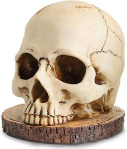 lot 10601 image: Life Size Skull Knife Holder  Resin Skull Shaped Knife Block for Kitchen Indoor Desk Decorations