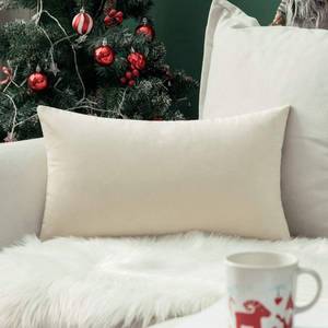 lot 28291 image: Velvet Pillow Cover Soft Luxury Decorative Throw Pillow Cover Single Rectangle Cushion Case for Couch Sofa Bedroom Car Decor,12x20 Inch Cream White - Retail $13