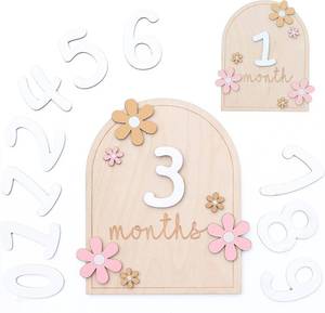 lot 28338 image: Baby Monthly Milestone Sign,1-12 Monthly Milestone Signs, Baby Girl Nursery Decoration, Newborn Photography Props Double-Sided (M01) - Retail $8