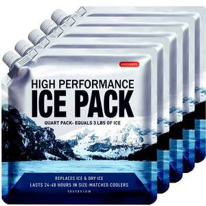 lot 28462 image: Reusable Ice Packs for Coolers 3 Pack, Long Lasting Gel Freezer Packs for Cooler Bag, Large Lunch Box, Beach, Camping & Road Trips Cold Blocks (9.8 x 9.8) - Retail $22