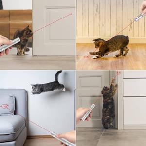 lot 28470 image: Portable Interactive Kitten Pet Dog Cat Mouse Toy for Fun Chase Play Exercise - Retail $10