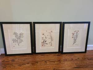 lot 1146 image: Framed wall decor, 22x18