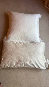 lot 1475 image: Large Embroidered Detail Pillow and one Standard size