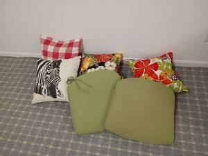 lot 2021 image: Chair Cushions and Throw Pillows