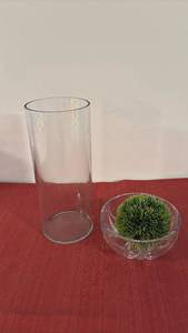 lot 2048 image: 3-Piece Glass12 inch  Cylinder Planter Set with Moss Ball and Dishes