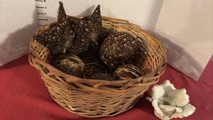 lot 2141 image: Woven Basket with Decorative Feathered Ornaments and Candle Holder