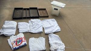 lot 3033 image: Plastic and Wooden Trays, Sterilite Tub, and old sheets to cover plants