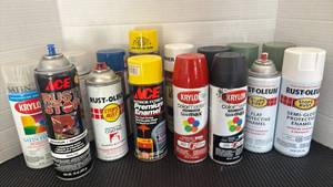 lot 3100 image: Spray Paint and more