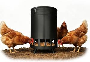 lot 10034 image: 50LB No-Waste Chicken Feeder with Stand, 16 Ports, Weatherproof Metal