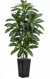 lot 10047 image: Artificial Dracaena Tree 5FT Yucca Floor Plant with Wood Trunk, Black