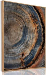 lot 10052 image: IBHJSART Framed Tree Ring Canvas Wall Art - Vintage Colorful Wood Stump
